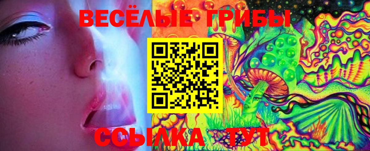 Галлюциногенные грибы Psilocybe  Вход с VPN  Лесной 