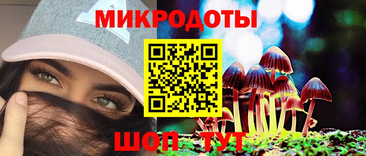 Галлюциногенные грибы Psilocybe Лесной